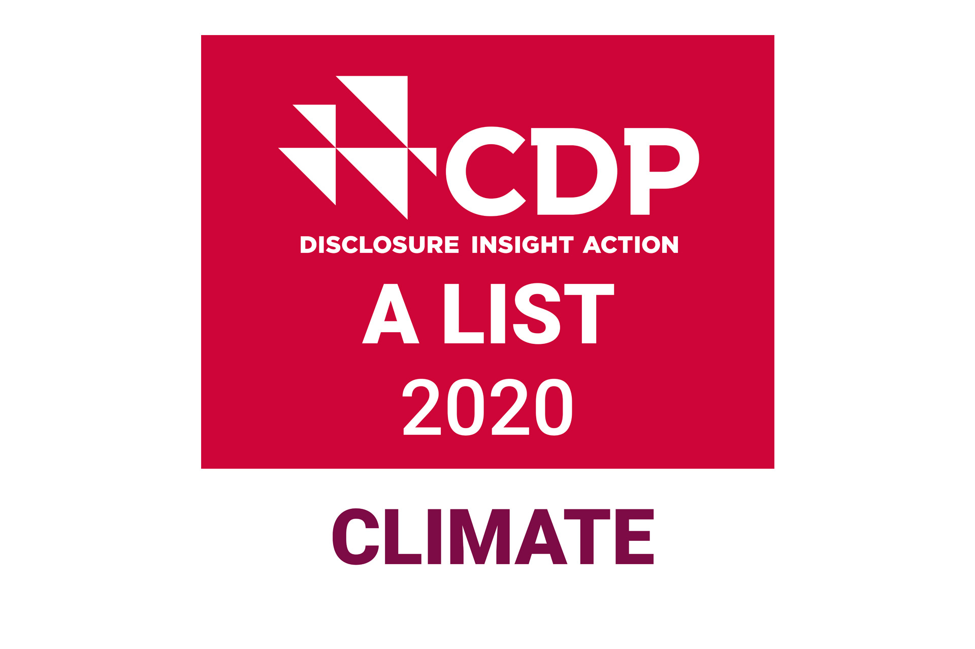 CDP邮票2020.