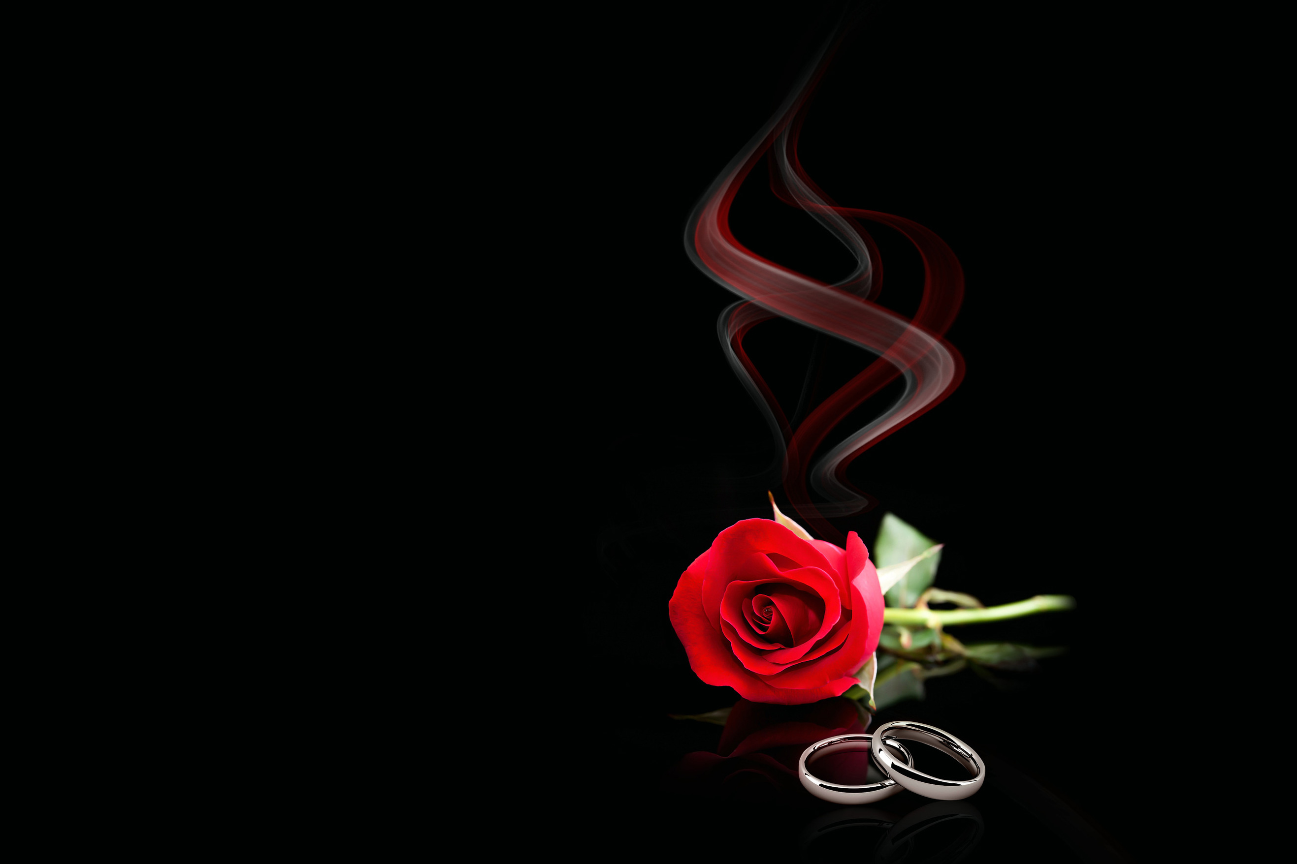玫瑰用香气颗粒和戒指 - 关键视觉埠FFR